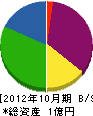 佐野総建 貸借対照表 2012年10月期