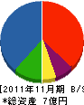 藤沢総合設備 貸借対照表 2011年11月期