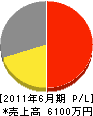 長崎緑樹センター 損益計算書 2011年6月期