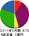 新日本規制 貸借対照表 2011年5月期
