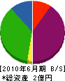 丸山工業 貸借対照表 2010年6月期