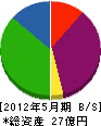 大阪湾開発管理 貸借対照表 2012年5月期