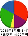 生駒電気 貸借対照表 2010年6月期