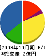 寒川高井電機 貸借対照表 2009年10月期