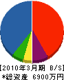 宮崎ラビットポンプ 貸借対照表 2010年3月期