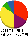 相沢住設 貸借対照表 2011年3月期
