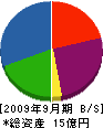 東翔 貸借対照表 2009年9月期