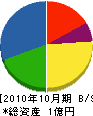 匹田電気工事 貸借対照表 2010年10月期