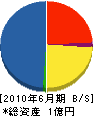 川田組 貸借対照表 2010年6月期
