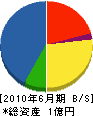 平川建設 貸借対照表 2010年6月期