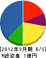 丸茂 貸借対照表 2012年3月期