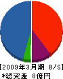 佐藤商店 貸借対照表 2009年3月期