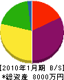 松尾化学工業 貸借対照表 2010年1月期