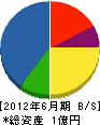 静岡塗装組 貸借対照表 2012年6月期