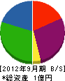 石村工業 貸借対照表 2012年9月期