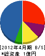 藤澤技建 貸借対照表 2012年4月期