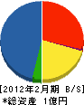 システムサポート静岡 貸借対照表 2012年2月期