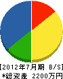 鈴木設備 貸借対照表 2012年7月期