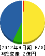村井電気 貸借対照表 2012年9月期