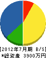 石川ガーデン 貸借対照表 2012年7月期