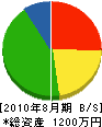 積田企画 貸借対照表 2010年8月期