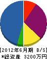 渡辺配管所 貸借対照表 2012年6月期