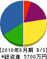 長谷川建設 貸借対照表 2010年6月期