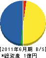 堀江造園 貸借対照表 2011年6月期