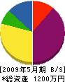 小笠原塗装 貸借対照表 2009年5月期