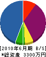 渡辺配管所 貸借対照表 2010年6月期