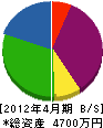 千葉電機商會 貸借対照表 2012年4月期