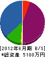 平成緑地建設 貸借対照表 2012年6月期
