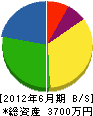 池田電気工業 貸借対照表 2012年6月期