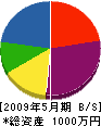 藤井組 貸借対照表 2009年5月期