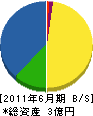 菅野建設 貸借対照表 2011年6月期