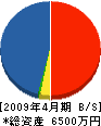 鈴木雄建築 貸借対照表 2009年4月期