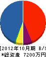 斎藤工業 貸借対照表 2012年10月期