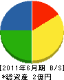 神崎 貸借対照表 2011年6月期
