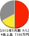 佐渡山電水 損益計算書 2012年5月期