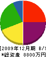 広瀬住建 貸借対照表 2009年12月期