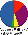 豊島工営 貸借対照表 2009年3月期