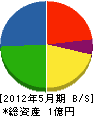 徳丸開発 貸借対照表 2012年5月期