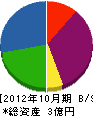 入交電設 貸借対照表 2012年10月期