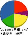 昭和舗道建設 貸借対照表 2010年6月期