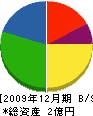 田野上組 貸借対照表 2009年12月期