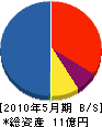 丸島産業 貸借対照表 2010年5月期