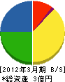 田辺工務店 貸借対照表 2012年3月期