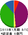 ヤマハミュージックストア荒井 貸借対照表 2013年1月期