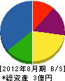 上田建設 貸借対照表 2012年8月期