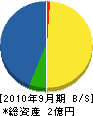 村井電気 貸借対照表 2010年9月期